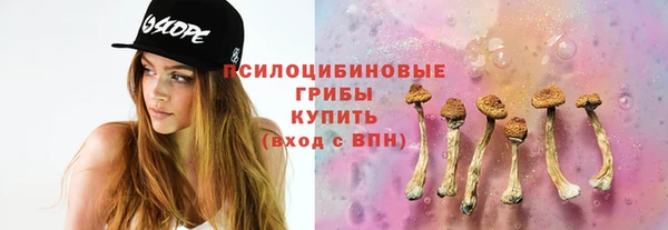 молекула духа Мегион