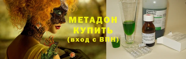 прущие грибы Мурманск