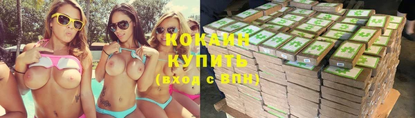 молекула духа Мегион